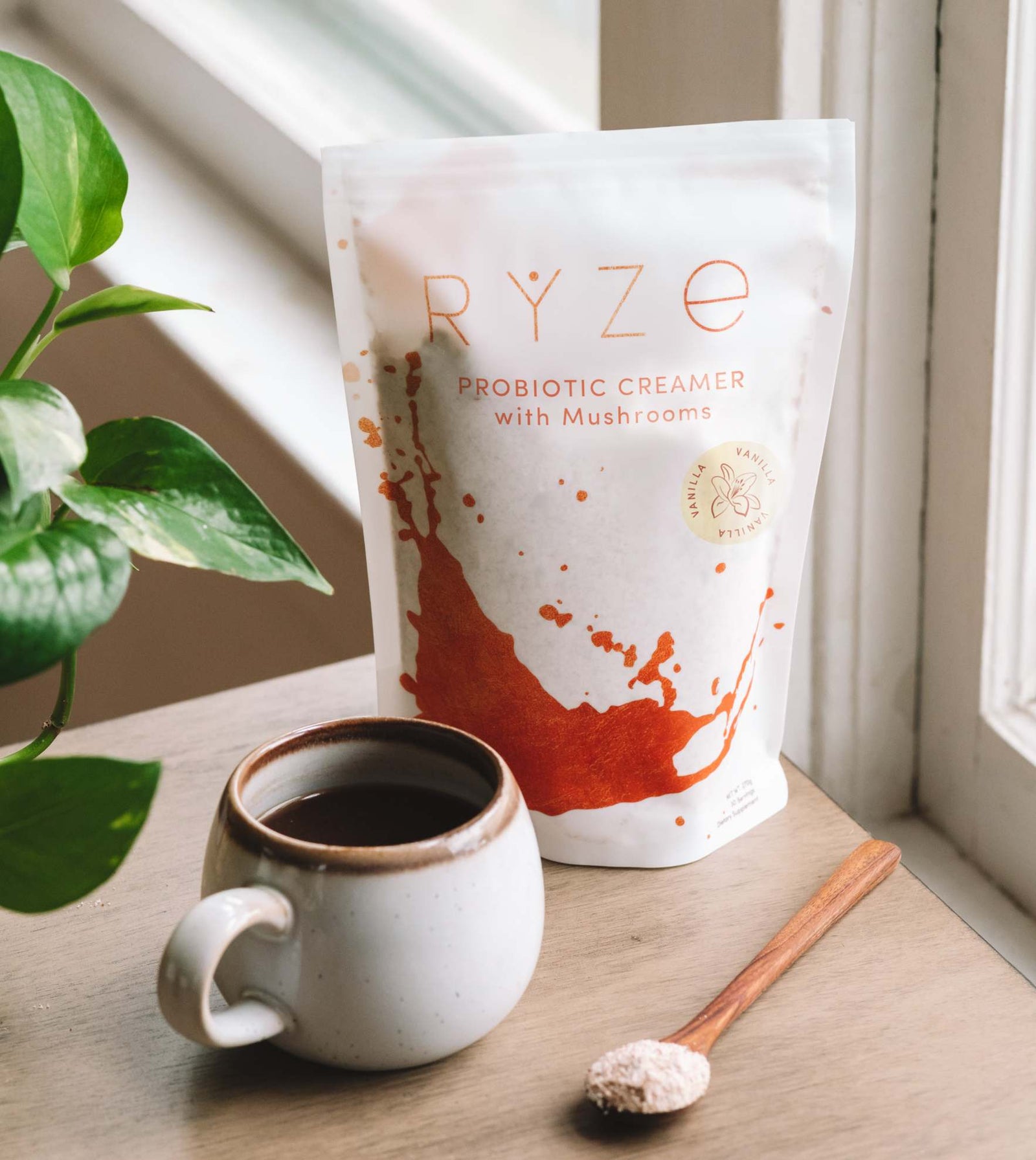 Probiotic Creamer: 30 Servings V5